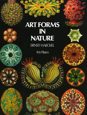 ART FORMS IN NATURE(P)