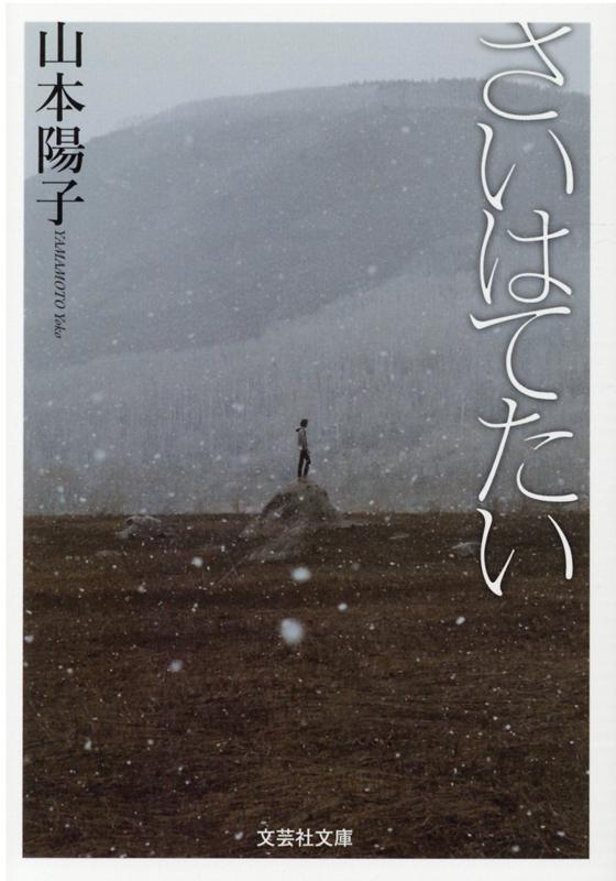 【文芸社文庫】　さいはてたい
