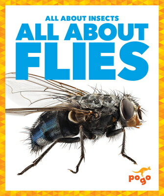 All about Flies ALL ABT FLIES （All about Insects） 