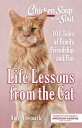 Chicken Soup for the Soul: Life Lessons from the Cat: 101 Tales of Family, Friendship and Fun CSF THE SOUL LIFE LESSONS FROM Amy Newmark