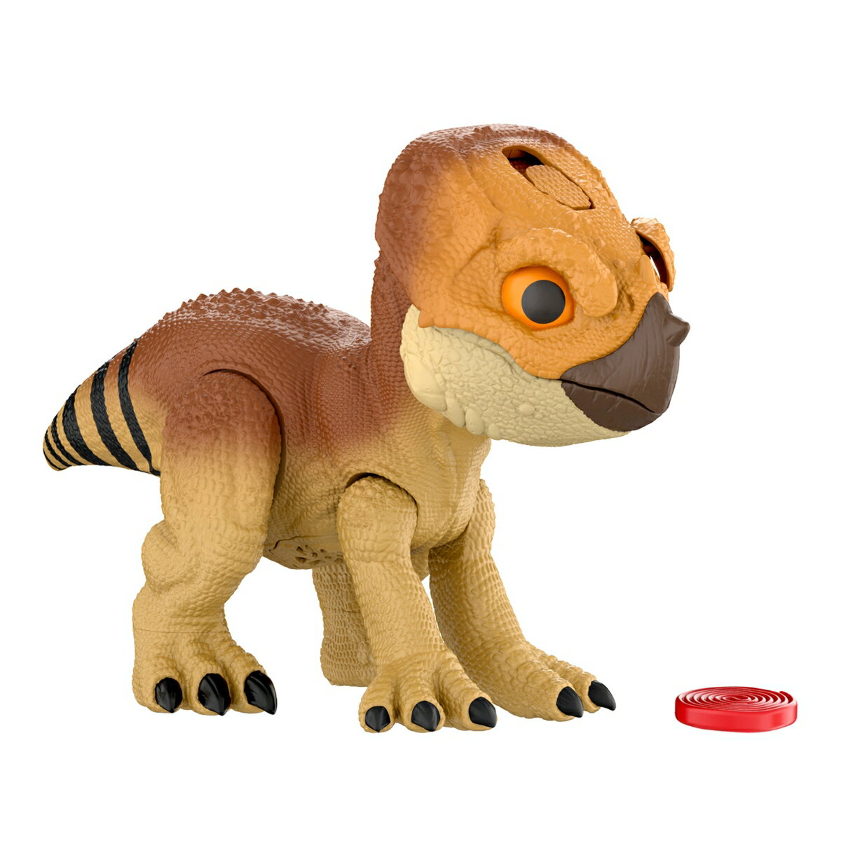 マテル ジュラシックワールド(JURASSIC WORLD) 手なずてトレーニング！アクイロプス エサ付き 恐竜フィギュア サウンド＆アクション 全長約20cm 4歳から ブラウン JGC01