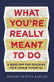 Kaplan describes a specific and actionable roadmap for helping readers define their own success and reach their unique potential. This effort requires several key steps in an integrated process, as well as a high level of motivation and hard work.