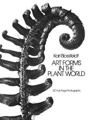 ART FORMS IN THE PLANT WORLD:120 PHOTO