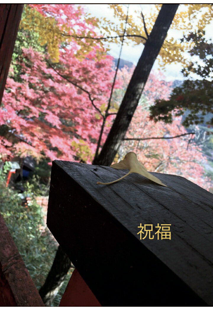 【POD】祝福
