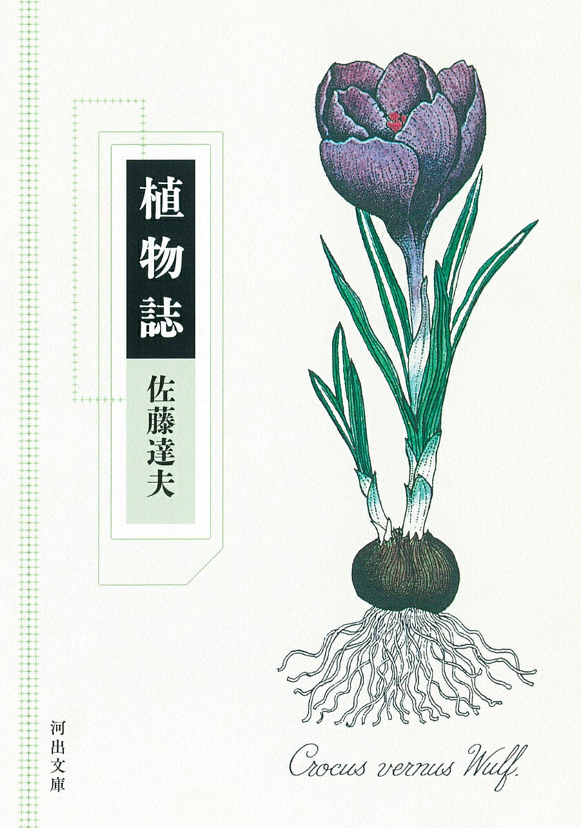 植物誌