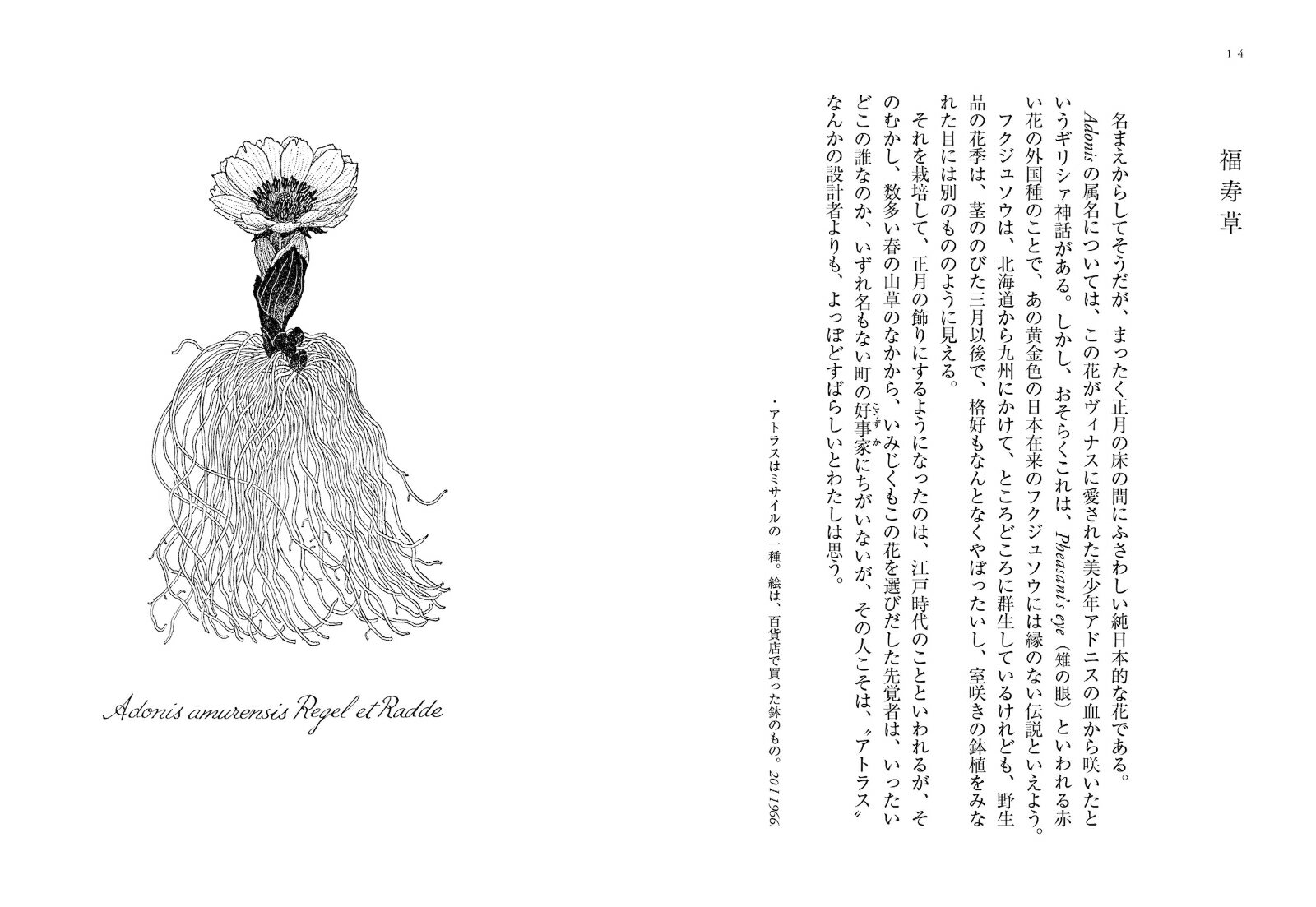 thum2