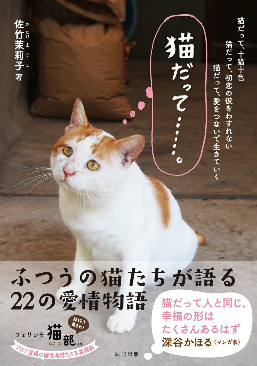 ふつうの猫たちが語る、２２の愛情物語。