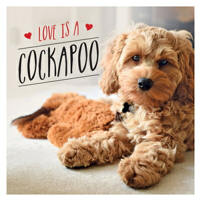 Love Is a Cockapoo: A Dog-Tastic Celebration of the World's Cutest Breed LOVE IS A COCKAPOO [ Charlie Ellis ]