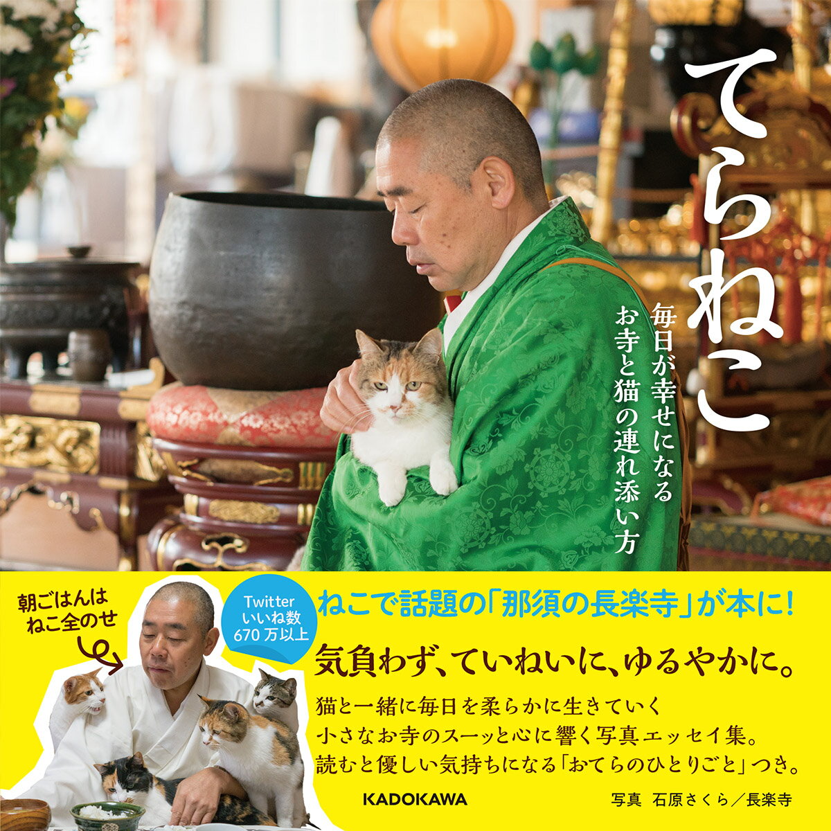 てらねこ 毎日が幸せになる お寺と猫の連れ添い方