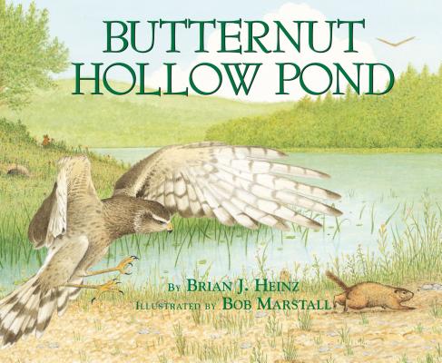 Butternut Hollow Pond BUTTERNUT HOLLOW POND （Millbrook Picture Books） 