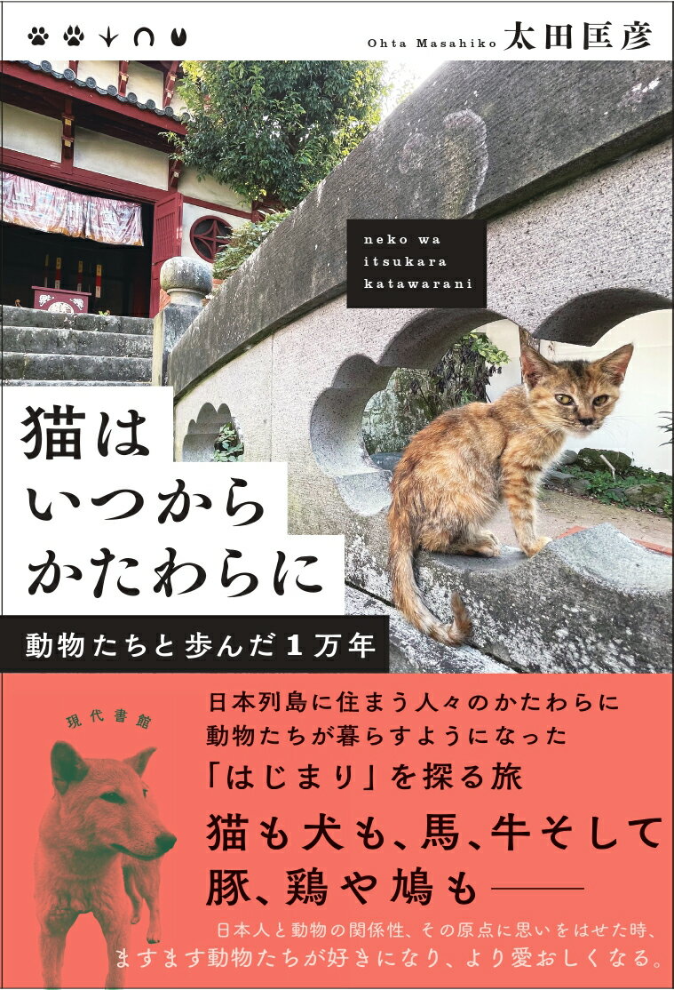 猫はいつからかたわらに