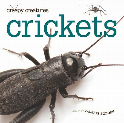 A basic introduction to crickets, examining where they live, how they grow, what they eat, and the unique traits that help to define them, such as their ability to chirp or 'sing'"--Provided by publisher.