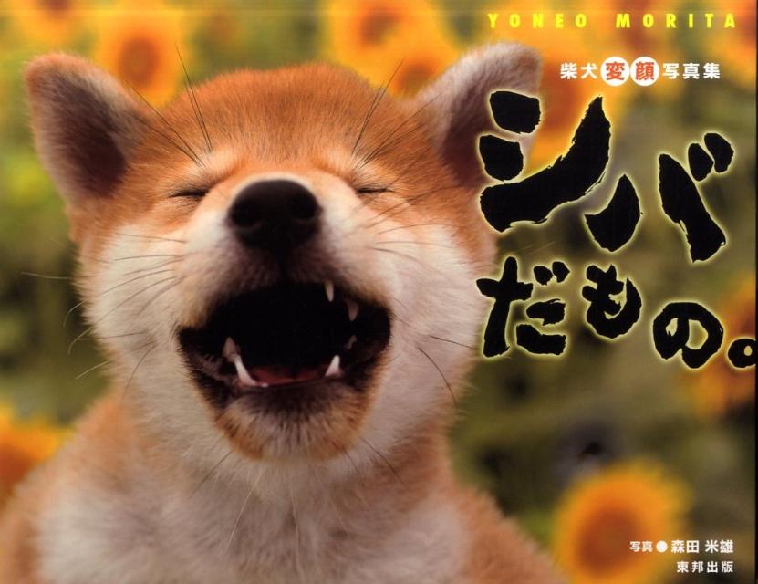 シバだもの。
