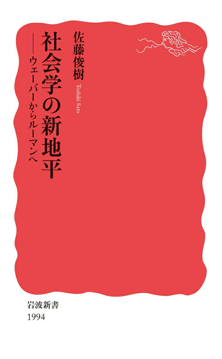 社会学の新地平 ウェーバーからルーマンへ （岩波新書　新赤版