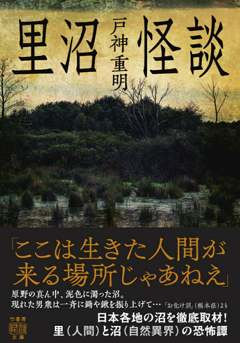 里沼怪談 (竹書房怪談文庫 HO-669) [...の紹介画像2