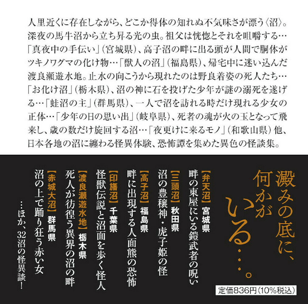 里沼怪談 (竹書房怪談文庫 HO-669) [...の紹介画像3