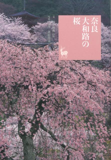 奈良大和路の桜