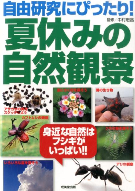 自由研究にぴったり！夏休みの自然観察