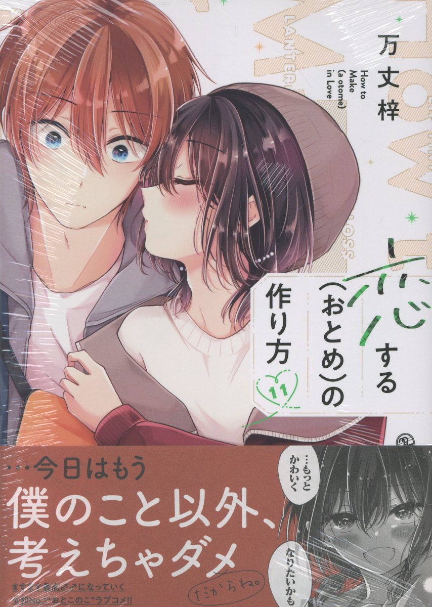 恋する（おとめ）の作り方 (11)