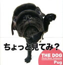 Pug （The　dog　photo　book　collection） [ アーリストインターナショ ...