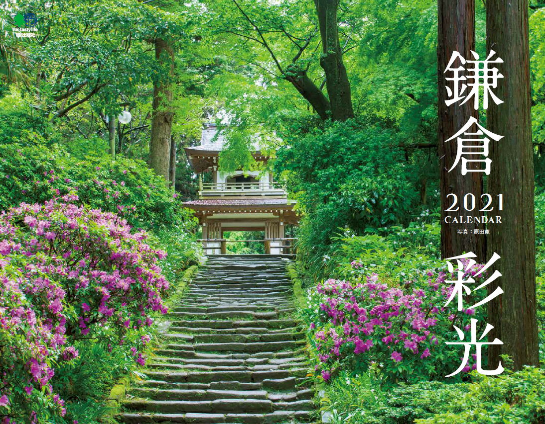 ���Һ̸�����������2021��