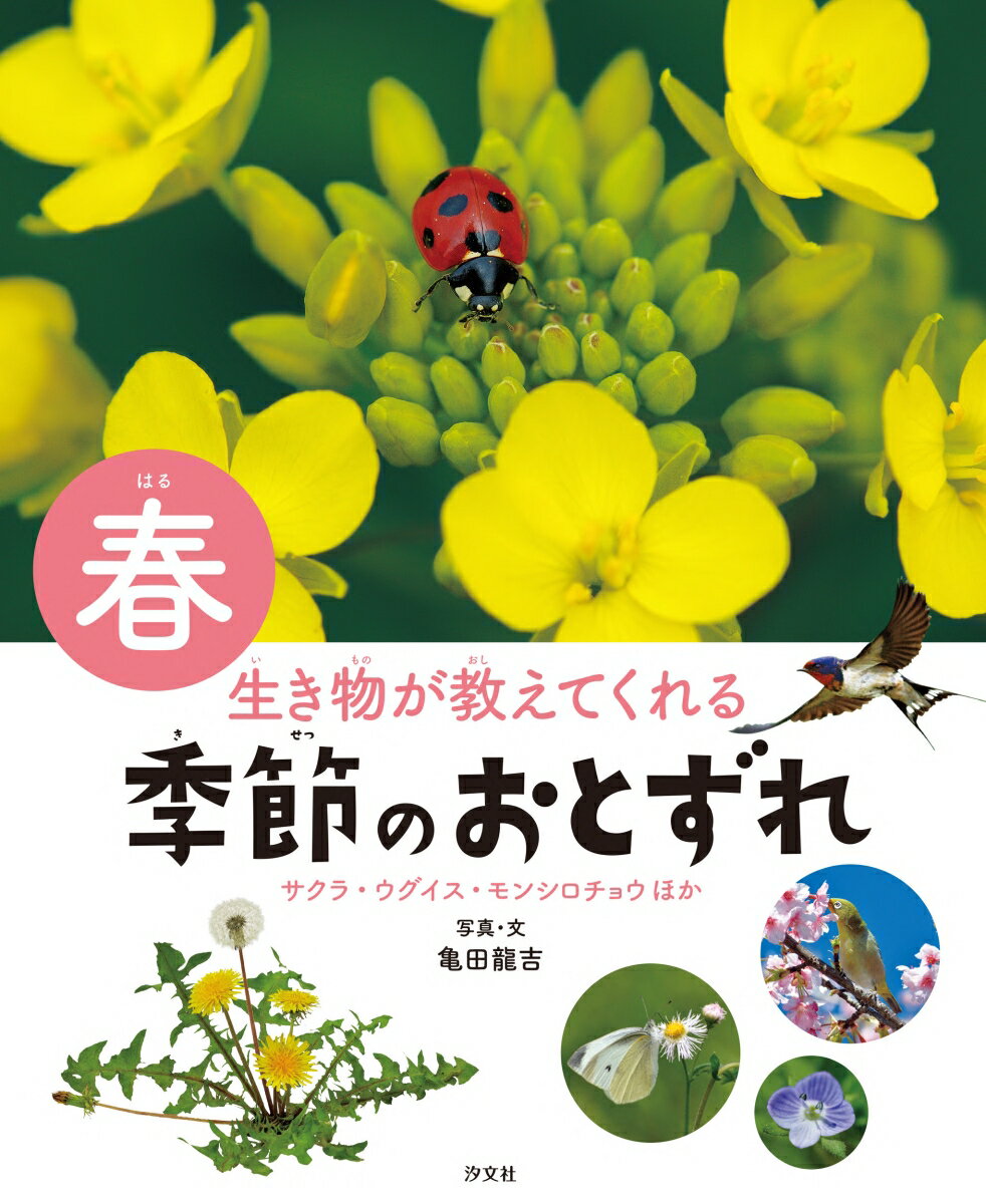 春　サクラ・ウグイス・モンシロチョウほか