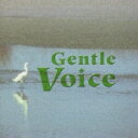 Gentle Voice [ 彩恵津子/松原正樹 ]