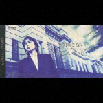 もう探さない/こんなに愛しても [ ZARD ]