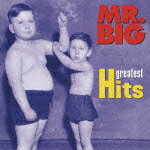 WARNER SUPER BEST 40::MR.BIG グレイテスト・ヒッツ [ MR.BIG ]