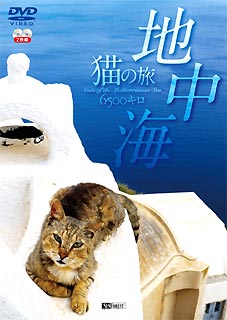 ���泤��ǭ��ι6500���� ��2���ȡ�CATS OF THE MEDITERRANEAN SEA