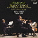 デンオン・クラシック・ベスト100::ブラームス:ピアノ三重奏曲(全3曲) 第1番 ロ長調 作品8・第2番 ハ長調 作品87 第3番 ハ短調 作品101 ホルン...
