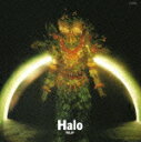 Halo [ チューリップ ]