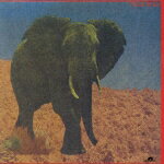 晩餐 [ フード・ブレイン ]のサムネイル