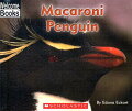 The Animals of the World emergent reader series introduces children to different animals from around the world. The spreads link text to images and explore the habitat, eating habits, and other fascinating facts about each animal. Includes glossary with pronunciation guide and an index. Also includes "To Find Out More" section that lists additional reading materials and websites that will encourage readers to learn more about an animal. This title introduces readers to the macaroni penguin. Simple text describes where macaroni penguins live, how these penguins care for their young, and how they use their web feet to swim.