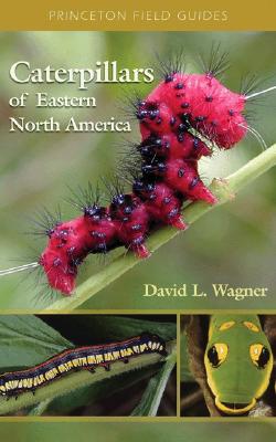 This book adds to our understanding of caterpillars by providing a means to identify common caterpillars via excellent photos of early stages that are associated with photos of adults, and through snippets of natural history text for each species. This alone will generate enthusiasm for caterpillars among professional biologists and general readers interested in lepidoptera."--Philip J. DeVries, Department of Biological Sciences, University of New Orleans, author of "The Butterflies of Costa Rica and Their Natural History, Volumes I and II""This book is an important contribution to the existing knowledge on the lepidoptera of North America, one that should spawn the gathering of new information. It fills a glaring gap in the popular literature on the continent's fauna."--Steven M. Roble, Staff Zoologist, Virginia Department of Conservation and Recreation, Division of Natural Heritage
