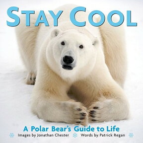 STAY COOL(H) [ PATRICK REGAN ]