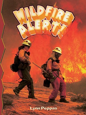 how wildfires happen and what they do to the ecosystem