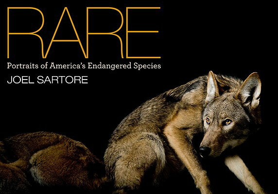 Rare: Portraits of America’s Endangered Species RARE [ Joel Sartore ]