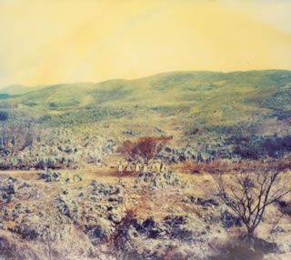 Before Turning Off the Light