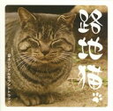 路地猫 オリジナルサウンドトラック [ 尾崎博志 ]