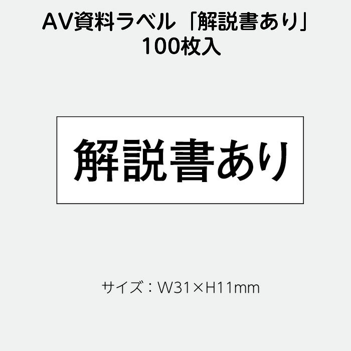 （2410-0041）AVラベル「解説書あり」100枚 1セット