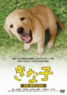 きな子〜見習い警察犬の物語〜／夏帆／寺脇康文【1000円以上送料無料】