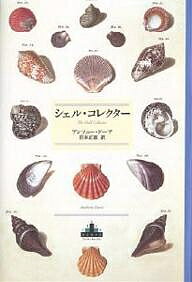 シェル・コレクター／アンソニー・ドーア／岩本正恵【1000円以上送料無料】