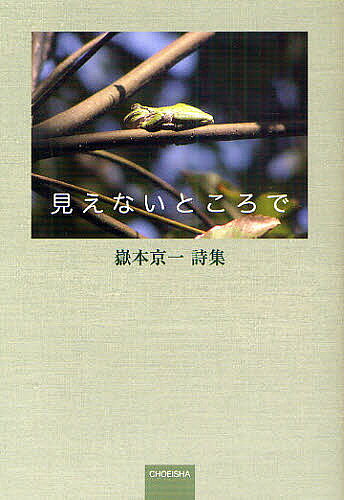 Author Name: Ya: Ra: Wa Line - 【送料無料】見えないところで 嶽本京一詩集／嶽本京一