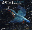 カワセミ 青い鳥見つけた／嶋田忠／子供／絵本【1000円以上送料無料】