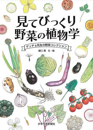 【送料無料】見てびっくり野菜の植物学 ゲッチョ先生の野菜コレクション／盛口満