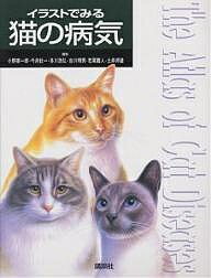 イラストでみる猫の病気／小野憲一郎【1000円以上送料無料】