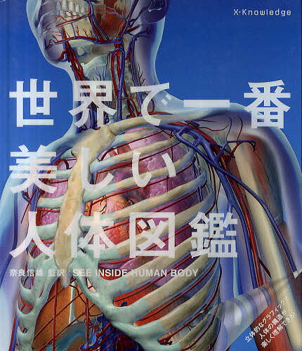 楽天市場】世界で一番美しい人体図鑑の通販 楽天市場】世界で一番美しい人体図鑑の通販