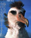 鳥たちは今日も元気に生きてます!/戸塚学【1000円以上送料無料】