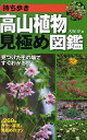 持ち歩き高山植物見極め図鑑 見つけたその場ですぐわかる ／大海淳【1000円以上送料無料】